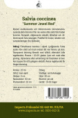 Rødsalvie 'Summer Jewel Red'
