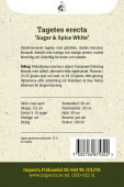 Stor fløyelsblomst 'Sugar & Spice White'
