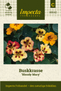 Blomkarse ''''Bloody Mary'''' 