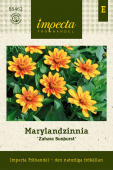 Maryland-sinnia 'Zahara Sunburst'
