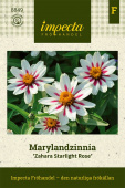 Maryland-sinnia 'Zahara Starlight Rose'