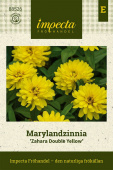 Maryland-sinnia 'Zahara Double Yellow'