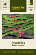 Prydbønne ''Prizegewinner'', Røde blomster og lange, velfylte belger. 