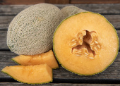 Melon 'Hale's Best Jumbo'