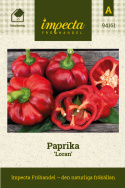 Paprika 'Loran', Fra 1870-tallet. Fransk sort som også er kjent som Guérande.