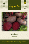 Rødbede 'D'Egypte', Kulturarv. Historisk sort fra 1888. Mørkerøde, flade, runde og glatte rødder.