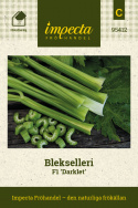 Blegselleri F1 'Darklet', Delikate, sprøde stængler med frodigt, mørkegrønt løv. 
