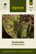 Romanosalat ''Forellenschluss'', Lysegrønne, rødmarmorerte blader.